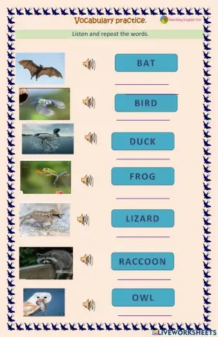 Animal vocabulary