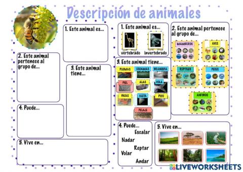 Descripciones de animales