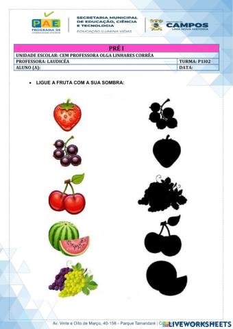 Educação Infantil - Percepção visual