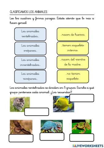 Clasificamos los animales