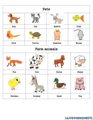 Animals and habitats