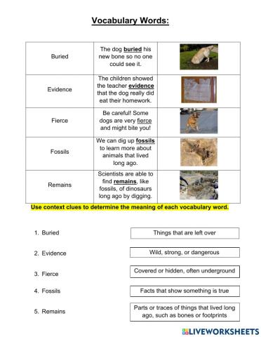 Grade 3 Context Clues Lesson 17 pt 1
