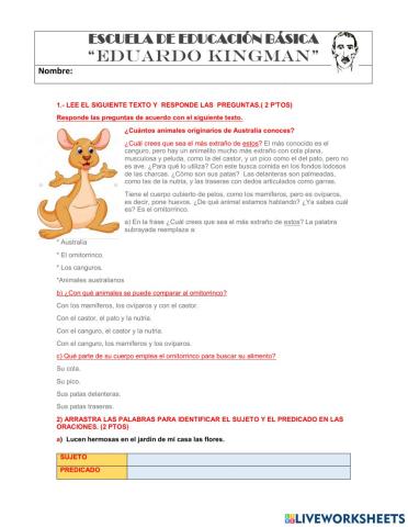 Prueba de diagnóstico