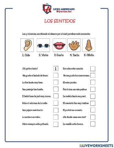 Los sentidos