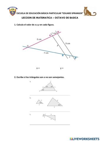 Leccion teorema de thales