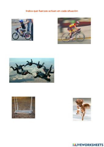 Descomposición de fuerzas