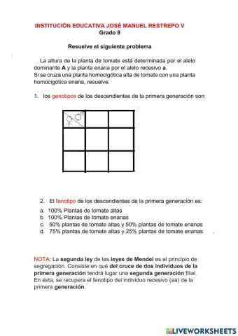 Primera y segunda ley de Mendel