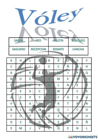 Sopa de Vóley