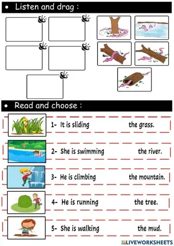 Listen and drag - Read and choose