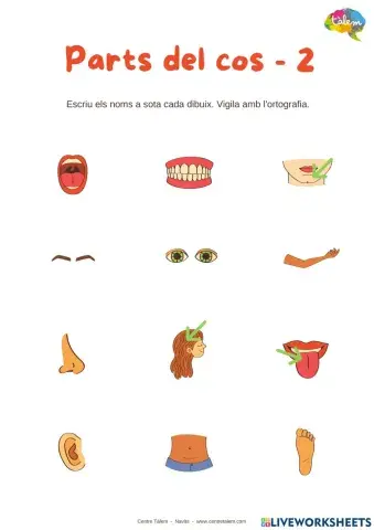 Parts del cos -2