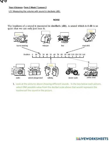 DIS Science Term 3 Week 7 lesson 2