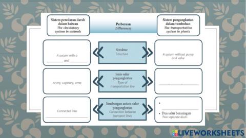 Transportation in plants and animals