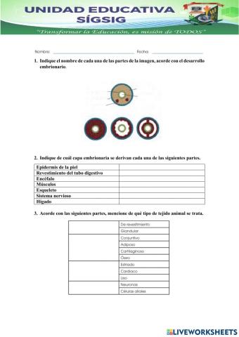 Unidad Educativa Sigsig