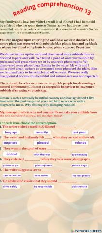 Reading Comprehension 13