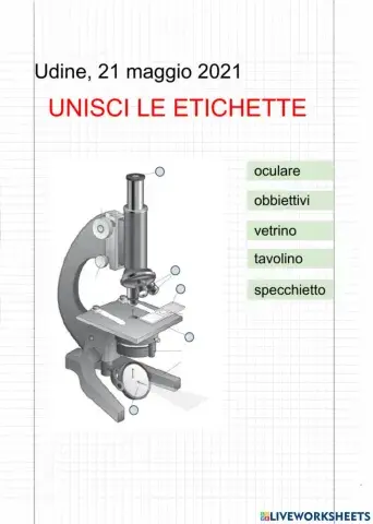 Unisci le etichette del microscopio