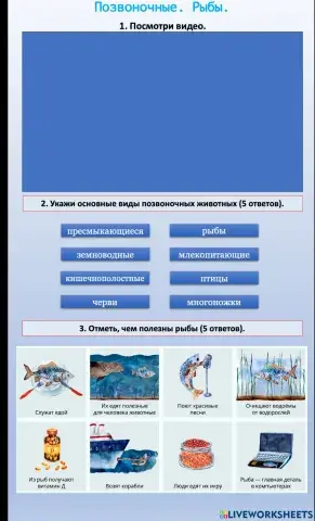 Окружающий мир.Позвоночные. Рыбы
