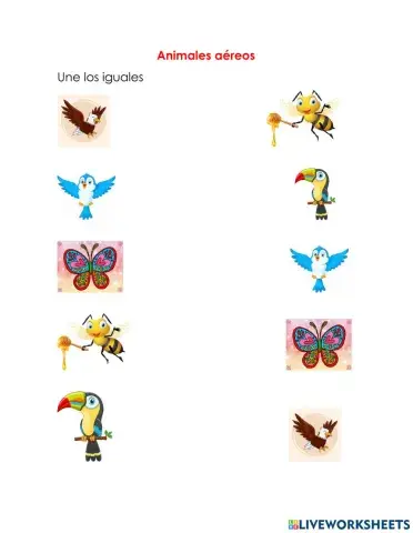 Los animales aéreos.