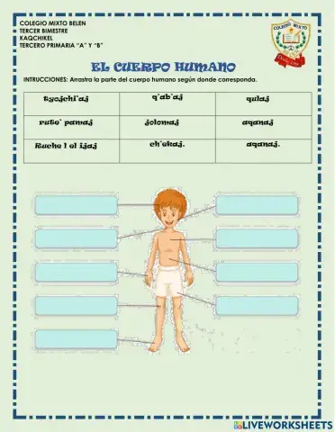 El cuerpo humano en kaqchikel
