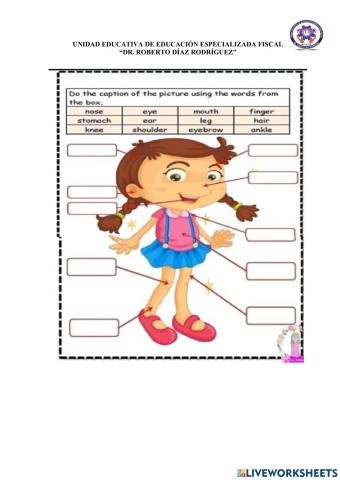 Partes del cuerpo ingles