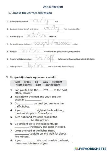 Junior Explorer 5 unit 8 revision
