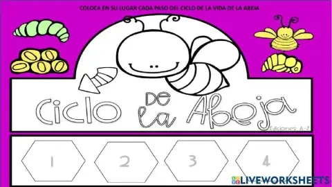 Ciclo de vida de la abeja