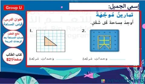 قياس المساحة المستوى 1