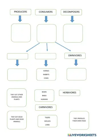 Producers, consumers, decomposers