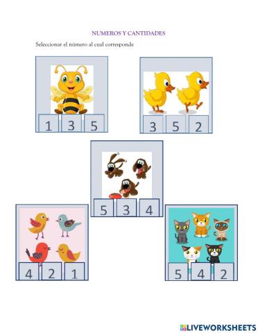 Numeros y cantidades