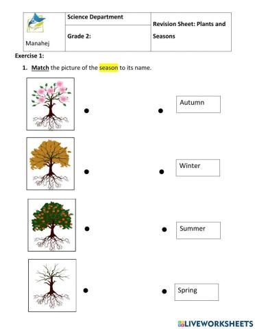 Trees during seasons