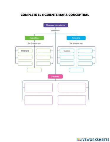 Sistema Reproductor Humano