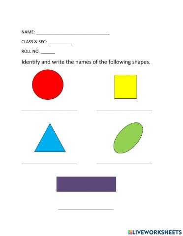 Identify the Shapes