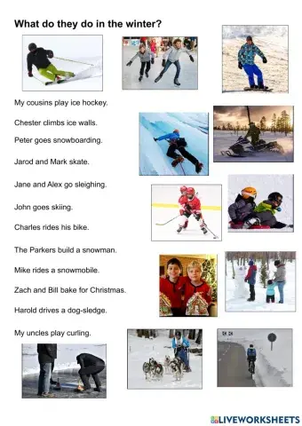 What do they do in winter