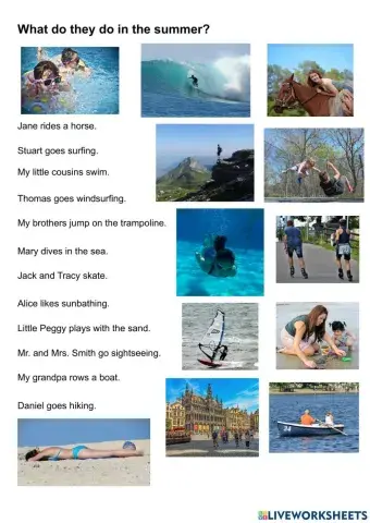 What do they do in summer?