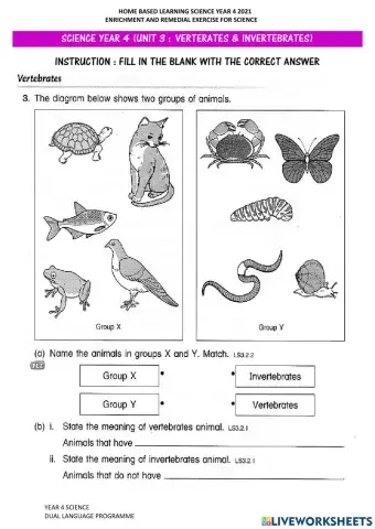 Science : Vertebrates & Invertebrates Animals