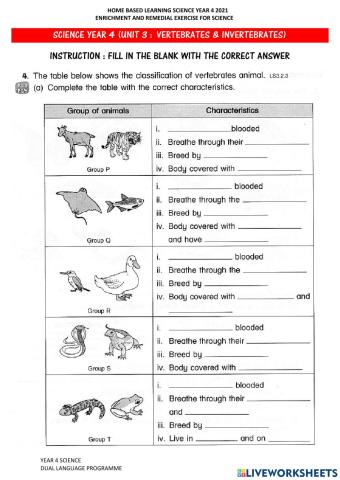 Year 4 Science : Vertebrates & Invertebrates