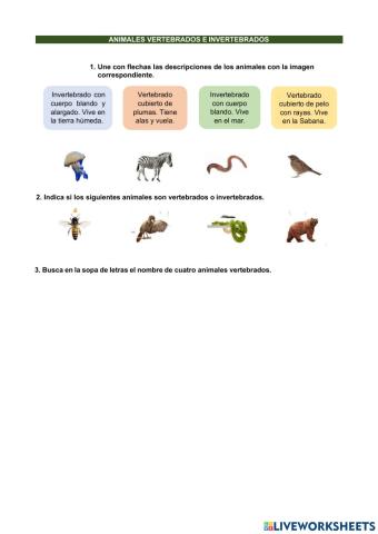 Evaluación Ciencias vertebrados tercero