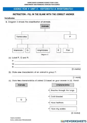 Year 4 Science : Vertebrates & Invertebrates