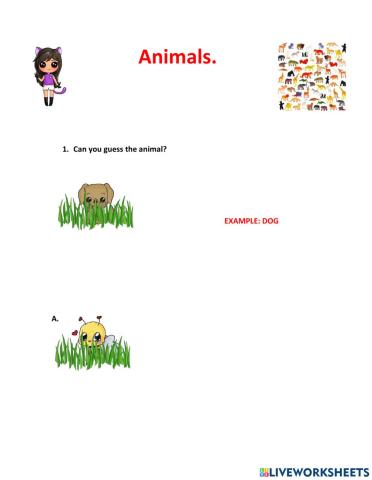 Animals.
