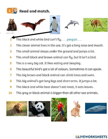 Guessing animals