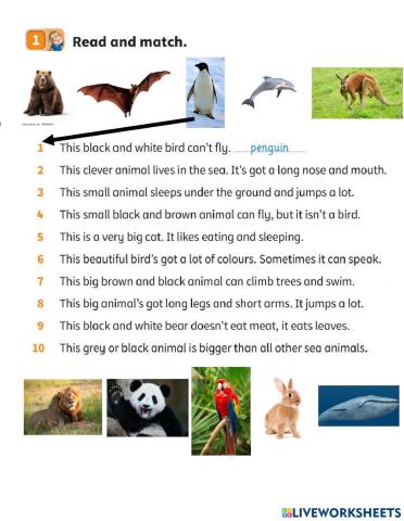 Guessing animals
