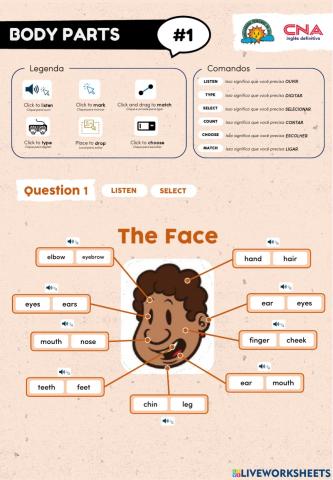 Parts of the Body - Vocabulary