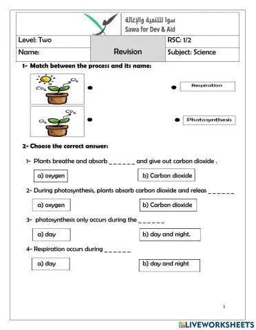 Photosynthesis and respiration.