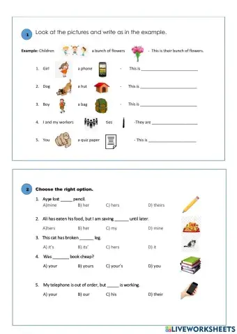Possesive adjectives