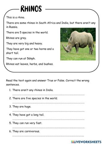 Wild animals - Rhino