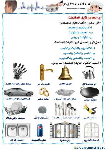 أي المعادن قابل للمغنطة