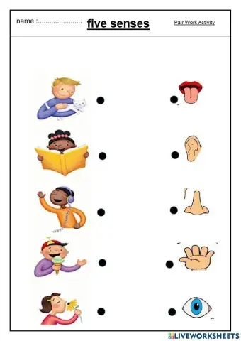 Pair Work Activity five senses