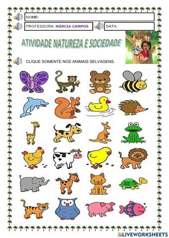 Animais Selvagens