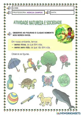 Seres vivos e seres sem vida