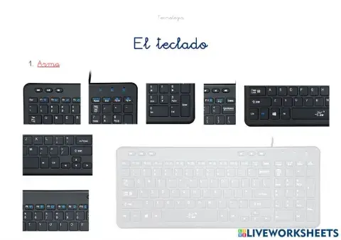 El teclado