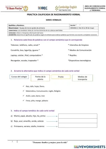 Práctica Calificada RV 3